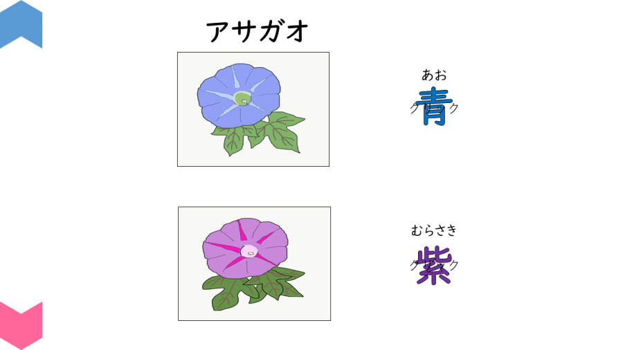 05002[理科]植物のすがたにくわしくなろう
