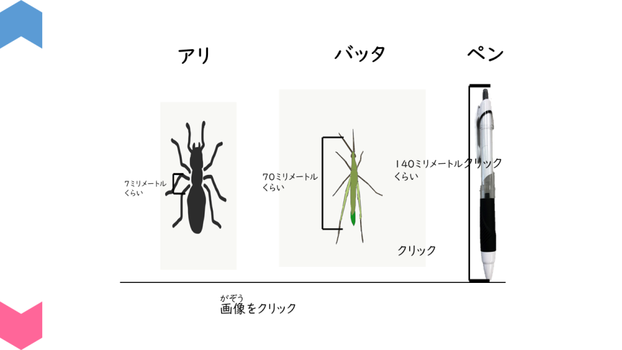 05001[理科]虫のすがたにくわしくなろう