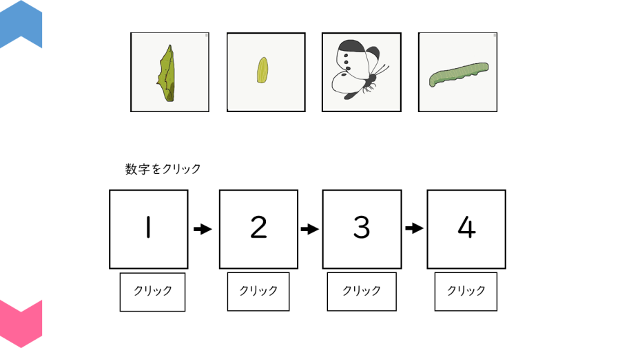 05003[理科]昆虫の育つ順番を確認しよう